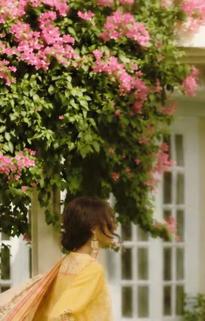 CL - The Yellow