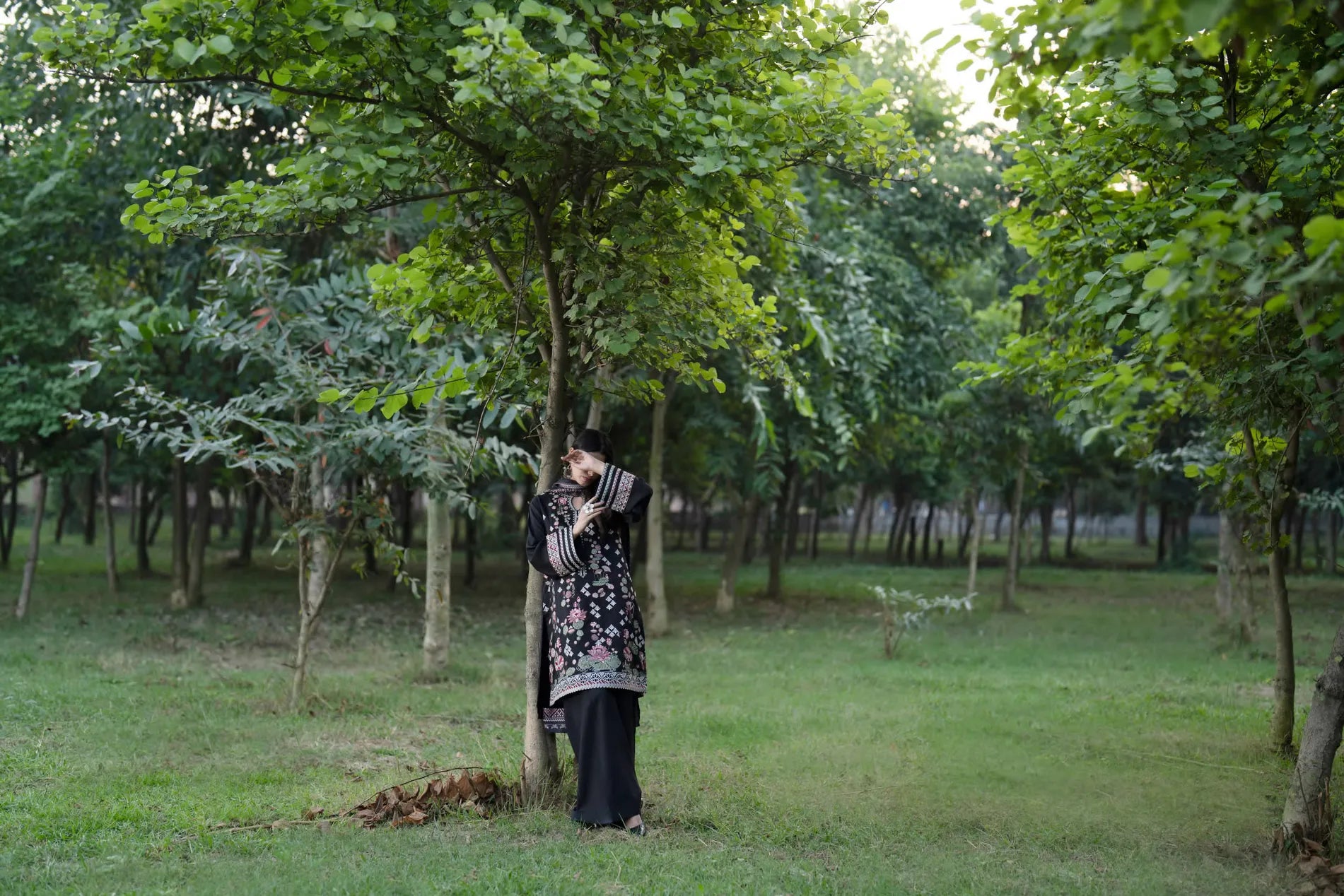 Casual Lite - Lotus Nocturne